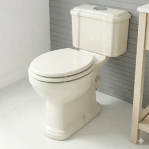 A standard two-piece floor mounted toilet with a dual-flush ceramic water tank.