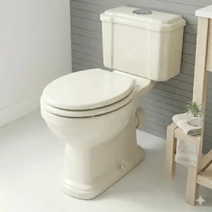 A space-saving compact floor mounted toilet perfect for small bathroom layouts.
